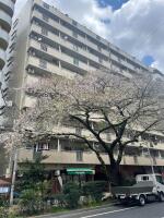 第5桜台ファミリーマンション